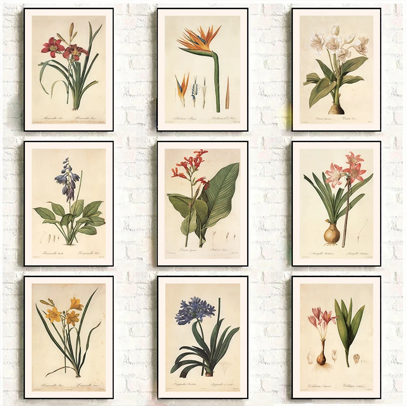 Affiche d'illustration de fleurs et de plantes classiques vintage, motif rhizome, pour peinture diamant, art mural, images décoratives pour la maison et la chambre, décoration esthétique