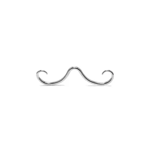 4Pcs316L Surgical Steel Diaphragm Beard Nose Ring Silver Stainless Steel Nose Ring for women Party Prom Vacation jewelry  Gift