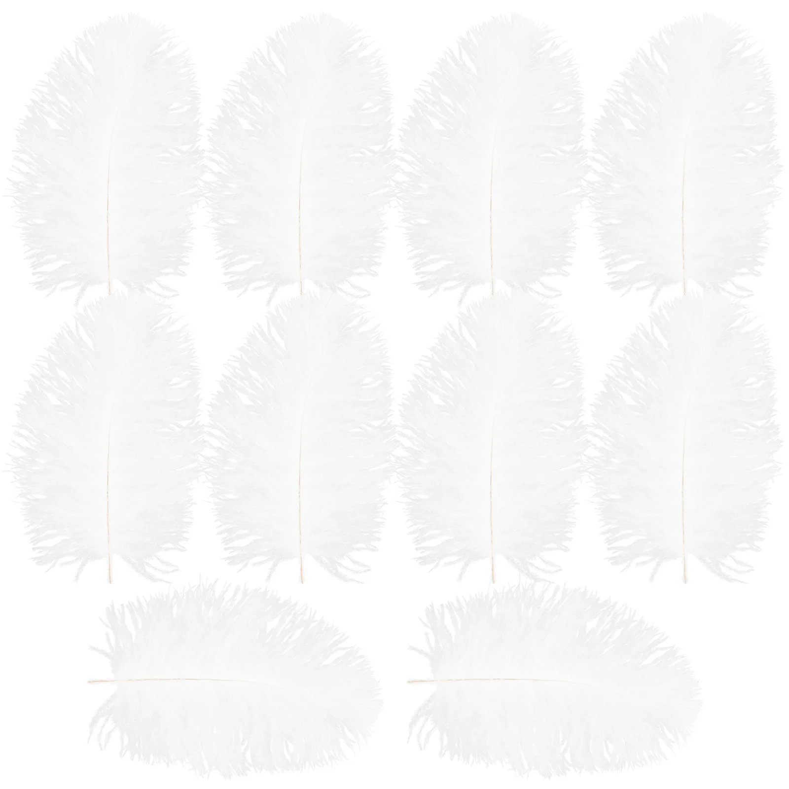 

10 Pcs Plume White Ostrich Wedding Decor Party Plumes Decorate Craft Decorations