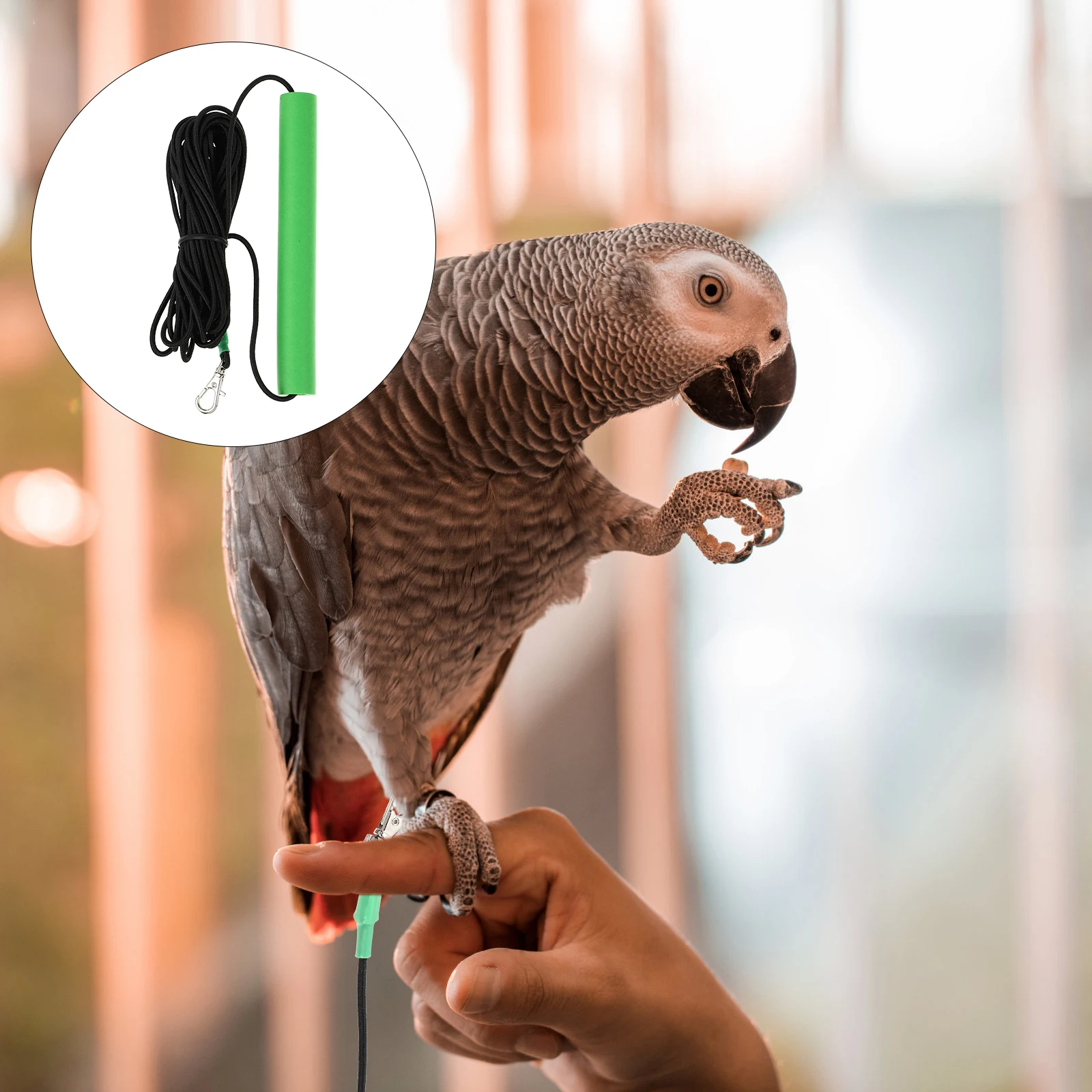 

Bird Traction Rope Harness Leash Flight Green Stainless Steel Durable Pet Bird Easy Use Portable Lightweight Hamster Harness Pet