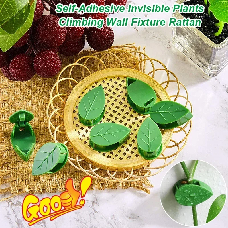 Self-adhesive Invisible Plant Climbing Wall Fixture Rattan vine bracket fixed buckle Leaf Clips Vines clamps Traction Holder