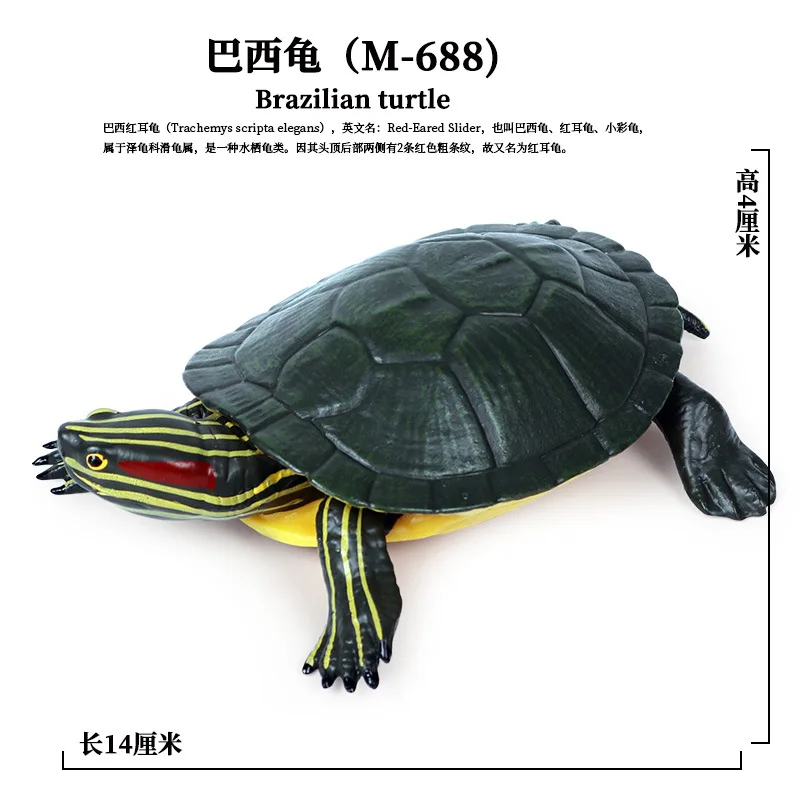 Simulation Marine Animals Ornaments Turtles Eared Slider Tortoise Amphibians Animal Model Children Science Education Tools Toys