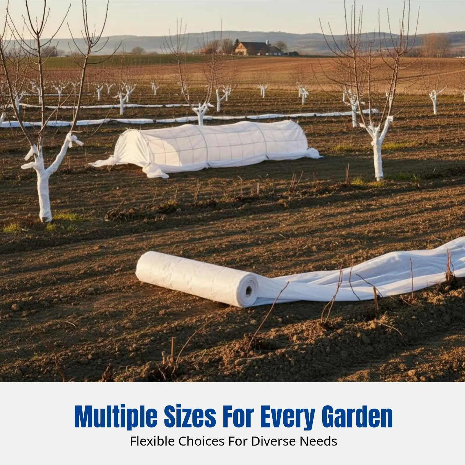 

Nonwoven Freeze Cloth, Winter Protection Blanket, Breathable, Snowproof, Garden Insulation Sheet