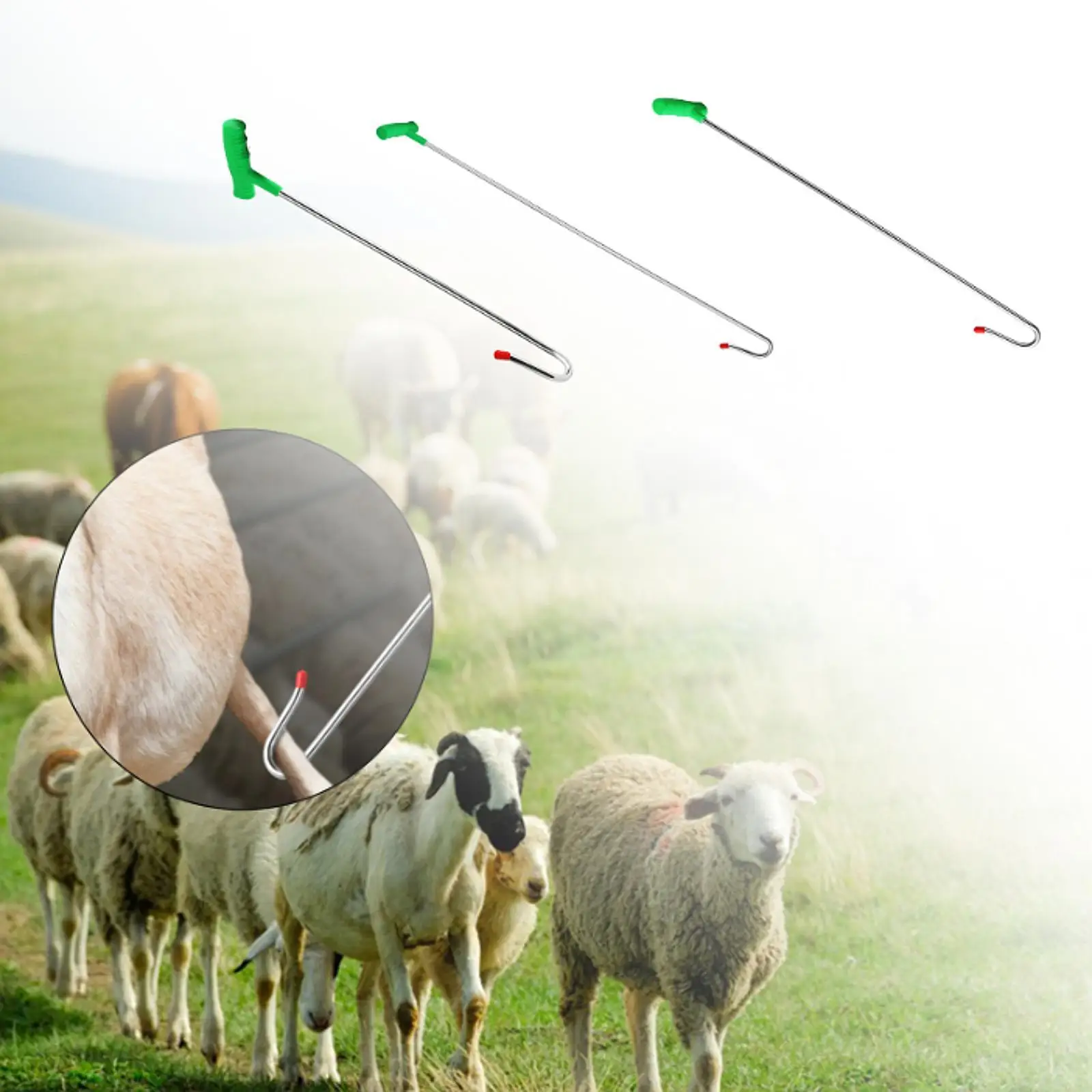 Sheep Catching Tool Sheep Hook Long Pole Heavy Duty Sheep Catcher Pole Sheep Captures Device