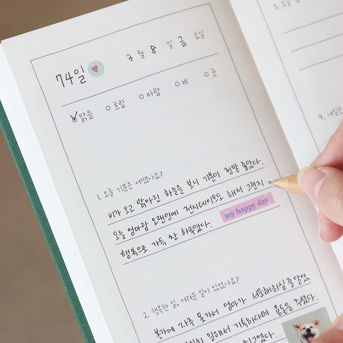 النيلي رسالة الإجابة خمسة موضوعات مذكرات/100 يوم نافورة مذكرات عاطفية رحيل كتاب مذكرات #6