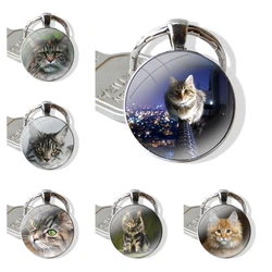 pet maine coon cat Keychain Handmade Glass Cabochon Key Ring Holder Pendant Key Chains