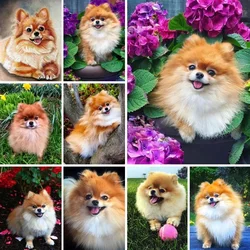 5D Diamond Painting  Pomeranian Dog Flower Full Square Round Drill Diamond Embroidery Diamond Mosaic Home Handmade Gift