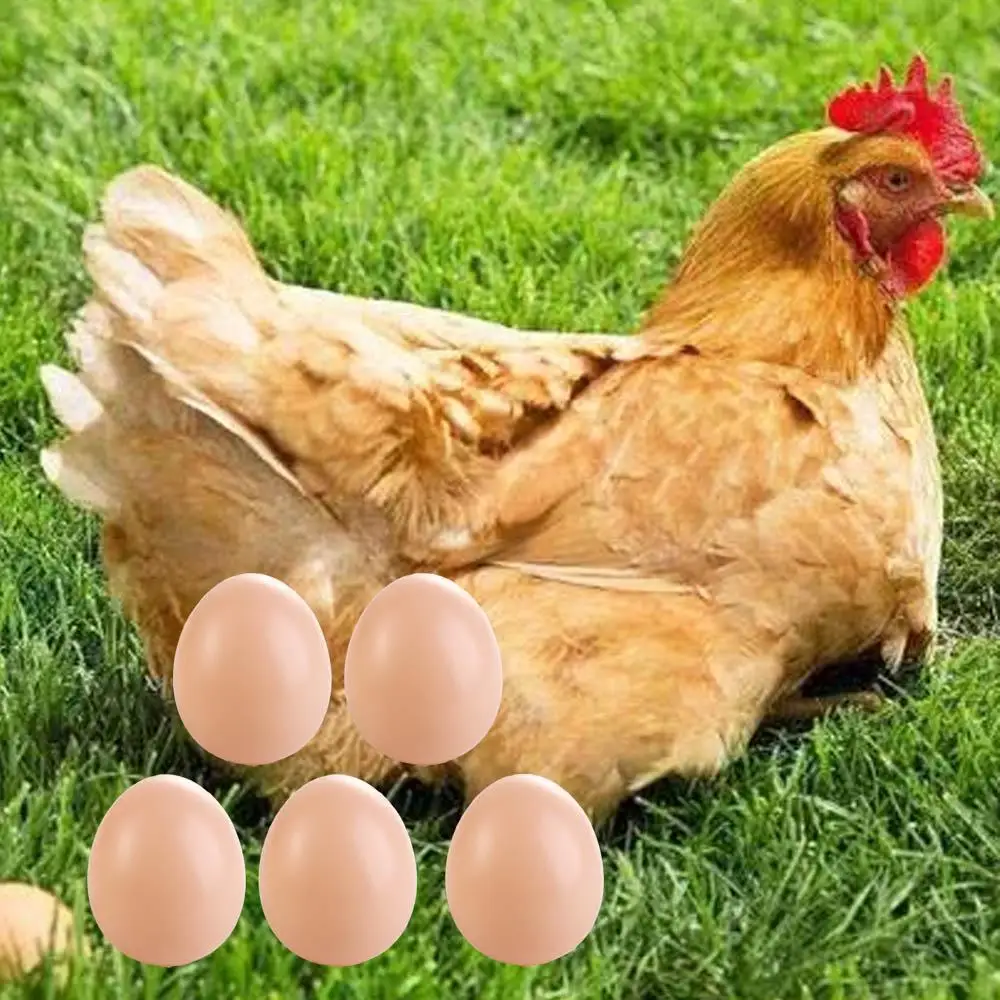 Huevos de simulación de gallina, escotilla de aves de corral, suministros para fiestas de cría, huevos de Pascua, huevos de gallina falsos, huevos artificiales, juguete educativo