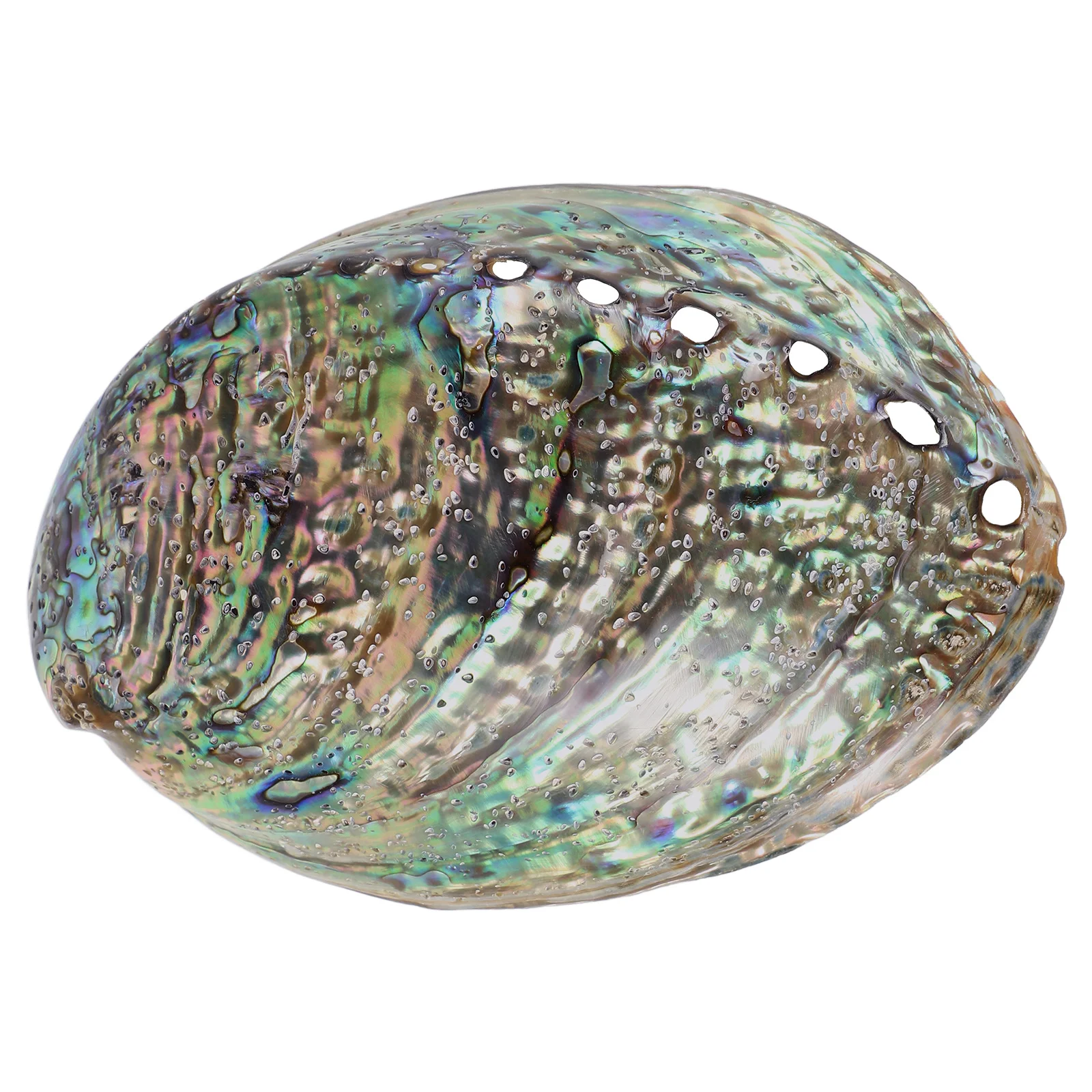 

10-12 см мерцающая ракушка из морского ушка натуральная раковина для самостоятельного изготовления ювелирных изделий элегантное ожерелье браслет кулон ремесло легкий вес