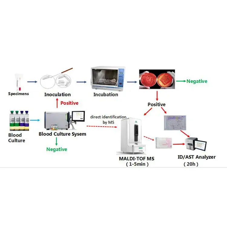 China Professional manufacturer Laboratory Equipment Id/ast Analysis System Microbiology Analyzer