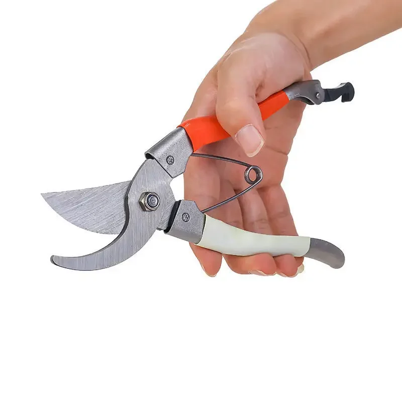 

Double Color Handle Pruning Shears Garden Polishing Branch Scissors Wholesale Pruning Shears Fruit Picker Garden Tools