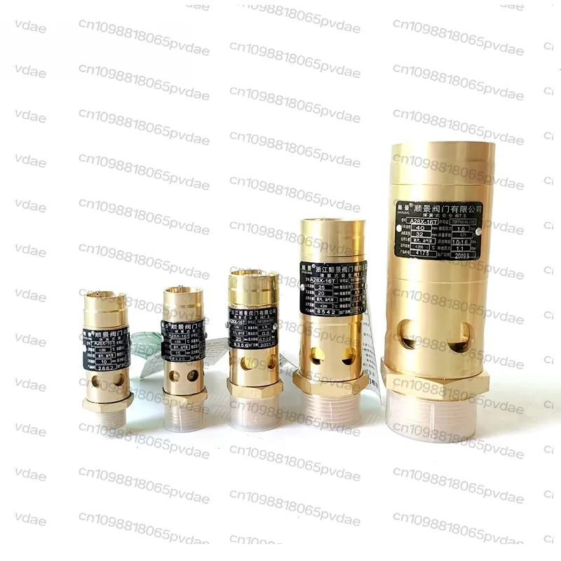A28X-16T Air Compressor Safety Pressure Relief Valve Spring DN8 DN10 DN15 DN20 DN25 DN32 DN40 DN50 3/8