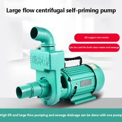 Centrifugal Pump Well Water Pump Large Flow Rate 1.5 Inches 2 Inches 3 Inches Household 220V Septic Tank Sewage Self-Priming Pum