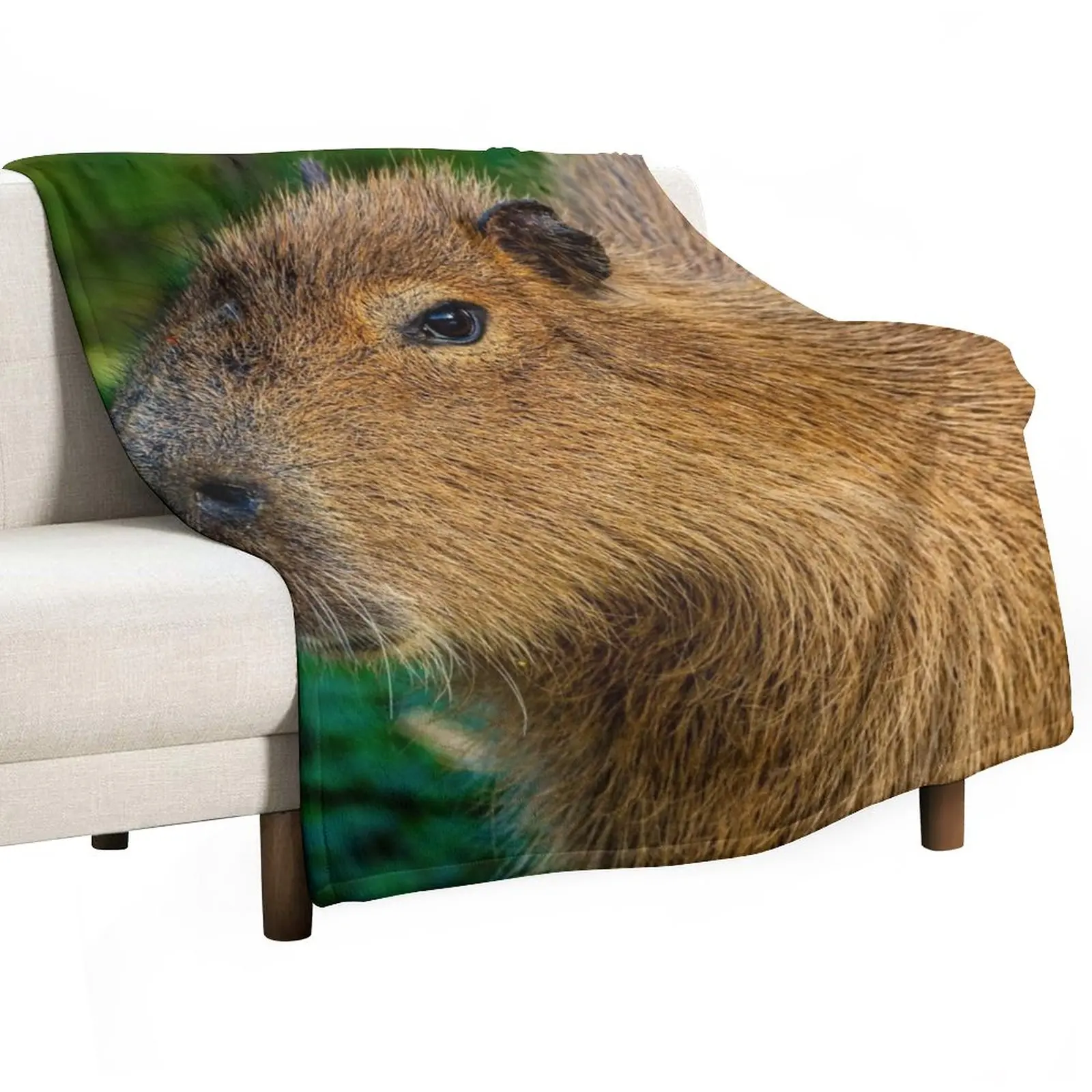 Capybara deep in thought Throw Blanket Blanket For Sofa Camping Blanket valentine gift ideas