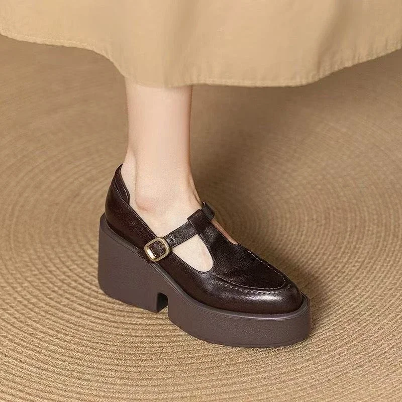 Chunky Platform High Heels Pumps Women Spring PU Leather Ankle Buckle Mary Jane Shoes Woman Brown Thick Heeled Sandals Loafers