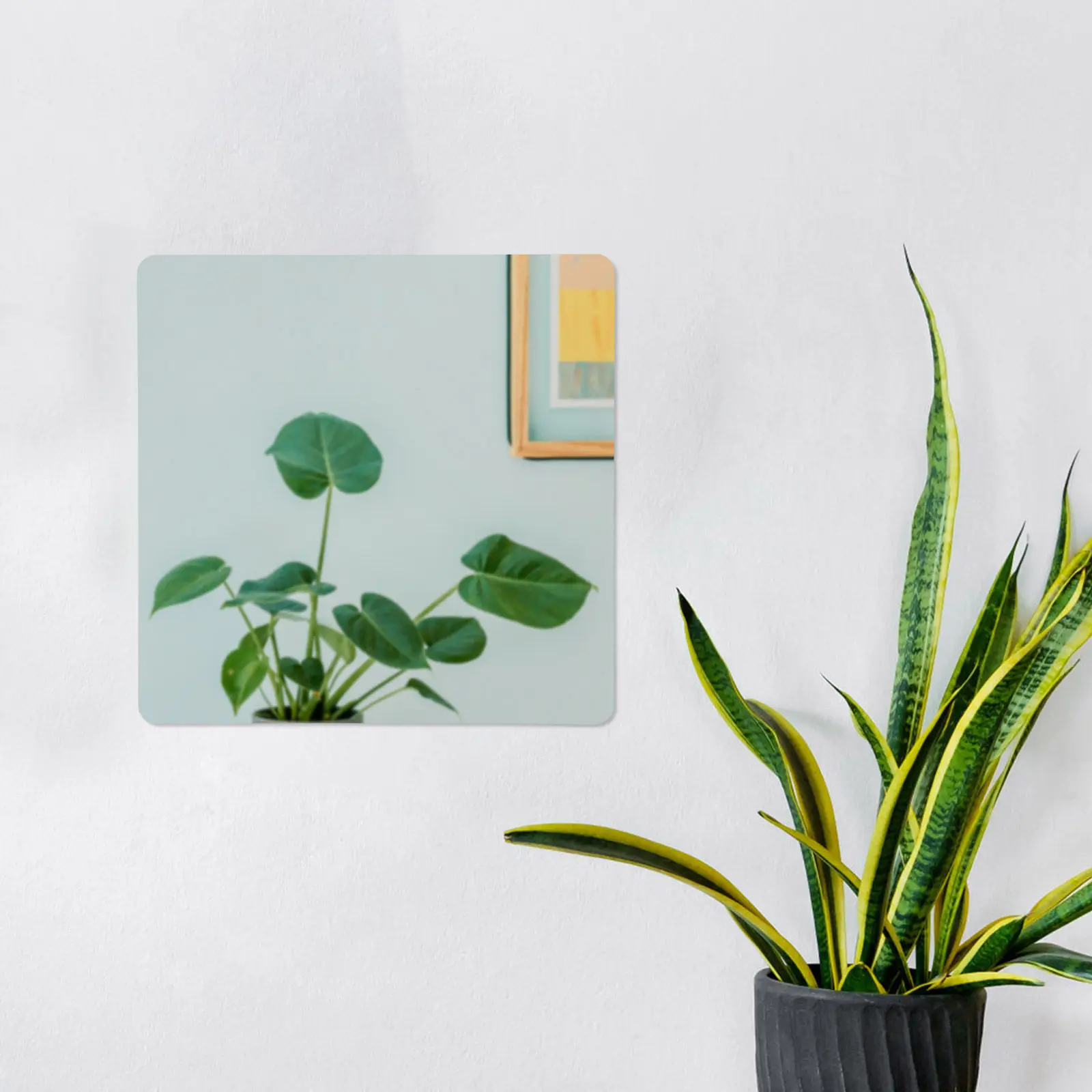 

2Pcs Mirror Tiles Self Adhesive Acrylic Square Stick on Wall Bathroom Wardrobe Doors Mirror Wall Stickers Square Mirrors