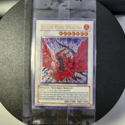 Yu-gi-oh-cartas de juego de dibujos animados para niños, juego de cartas de anime de dragón Rosa Negra, CSOC-EN039 UTR, regalo de colección, no Original