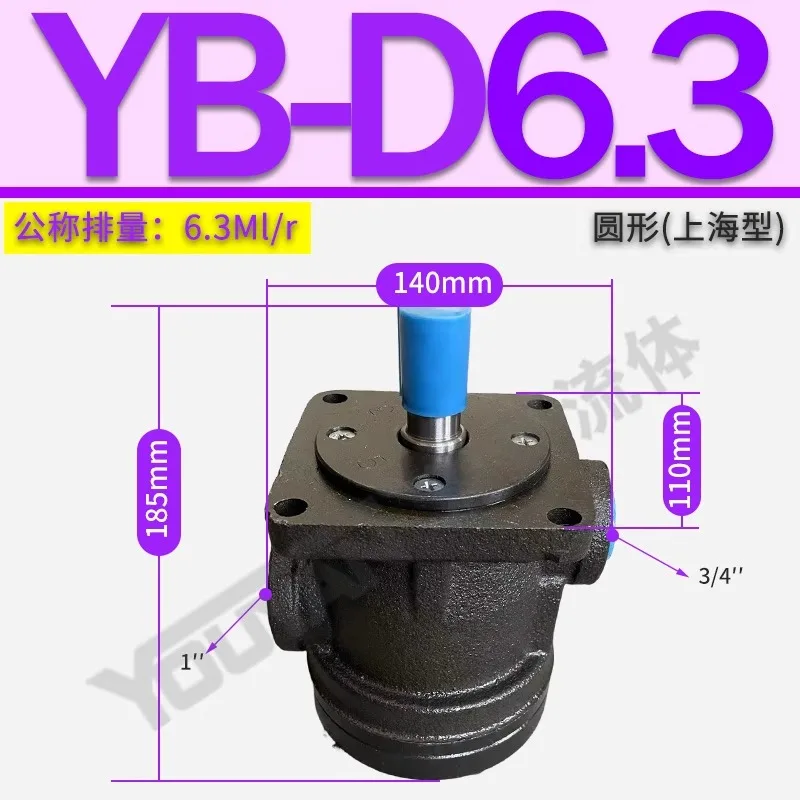 YB-D6.3 Pompa a palette D4 D2.5D10 D12 D16 D20 D25 D32 D40 YBD50 63 80 100