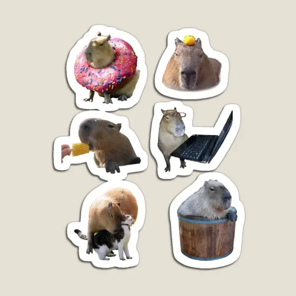 6 Nice Capybara Stickers  Magnet Magnetic Colorful Decor Refrigerator Baby Toy for Fridge Organizer Holder Funny Children  Kids