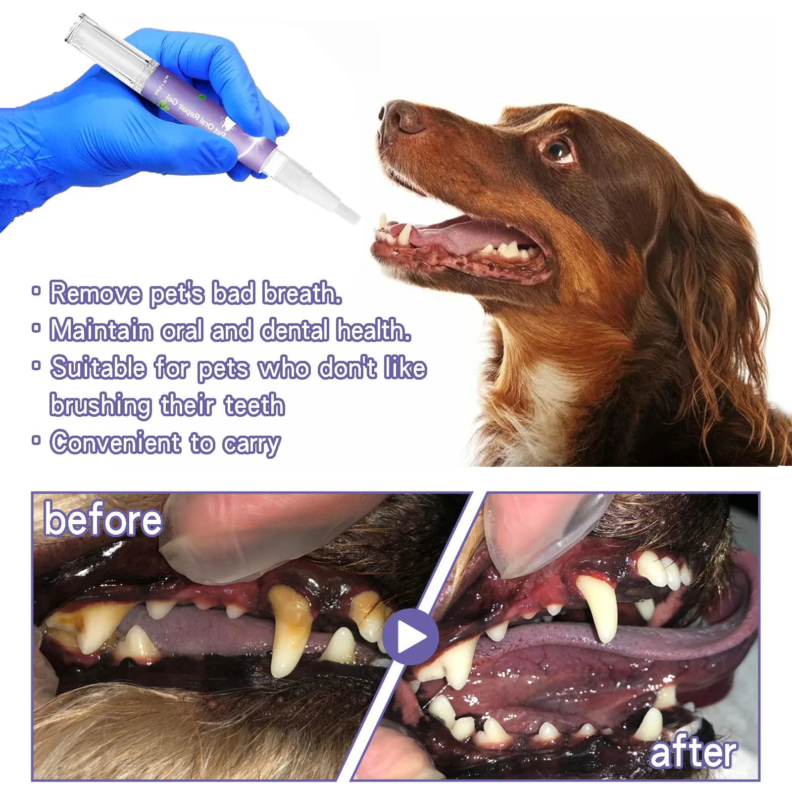 Pet Oral Repair Gel Natural Teeth Cleaning Tools Dog Grooming Toothbrush Cats Breath Freshener Dental Stain Cleaning Pen