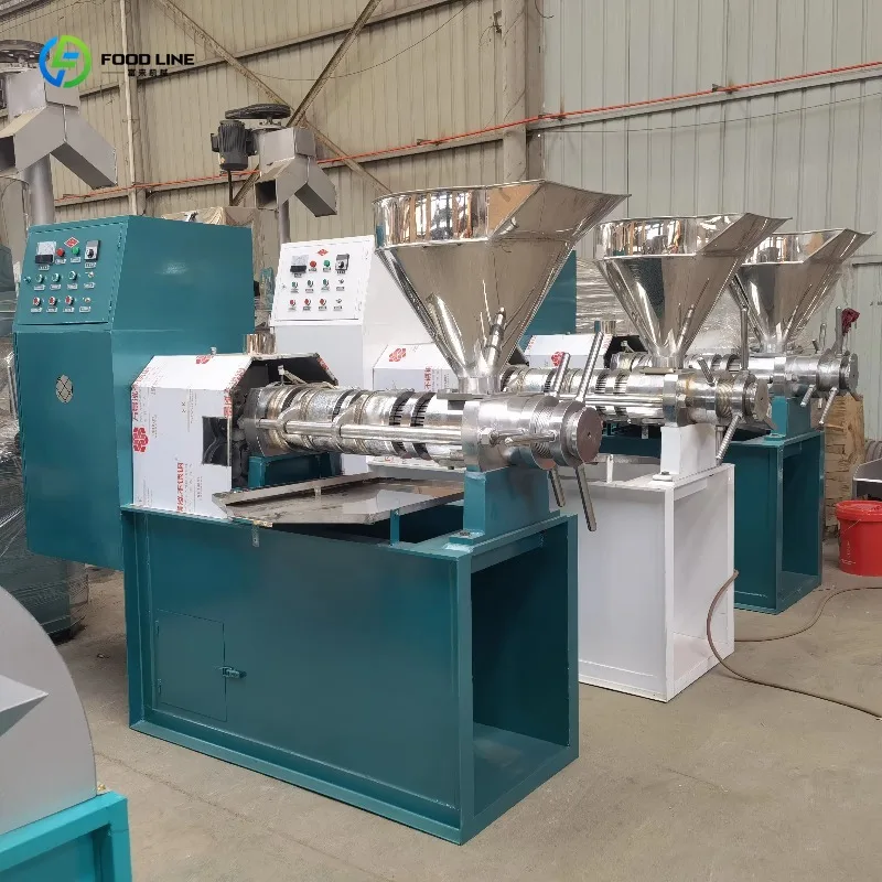 Customized Automatic Screw 6YL 70 Oil Presser Multifunctional Peanut Coffee Bean Virgin Coconut Oil Extractor