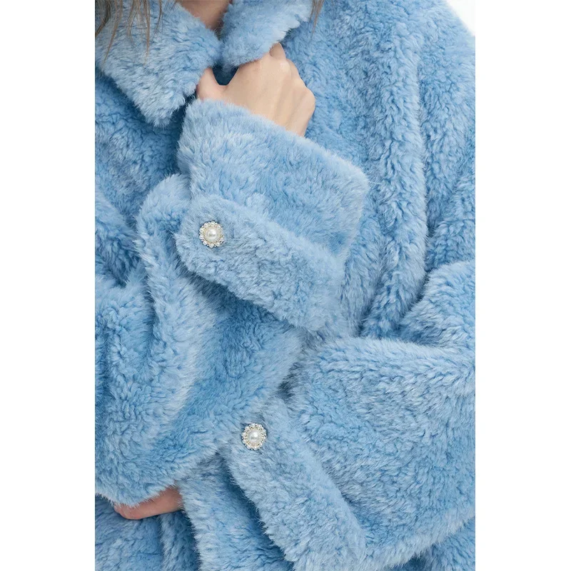 ELFSACK Elegant Minimalist Refined Single Breasted Stand Collar Solid Plush Coat For Women