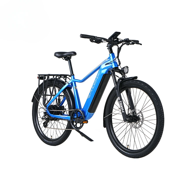 Phoenix Factory Directly Supplies Electric City Bicycles And Mountain Electric Bicyclescustom