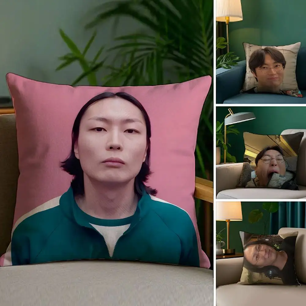 R-Roh J-Jae Won Pillow Case Anti-dustmite Invisible zipper Sofa Bed