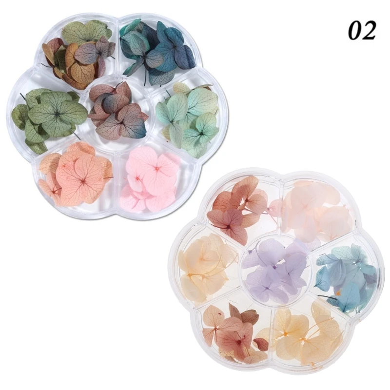 New Bright Color Natural Dried Flower for Resin Epoxy Jewelry Art Pendant Craft