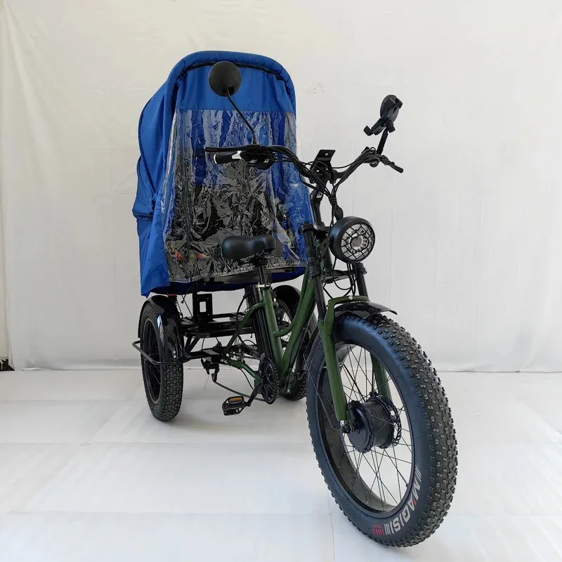 

Transportation Vehicle Bike 2024 Electric 3 Wheeler Trike Fat Tire ThreeWheel Electric Cargo Bicycle with Canopy