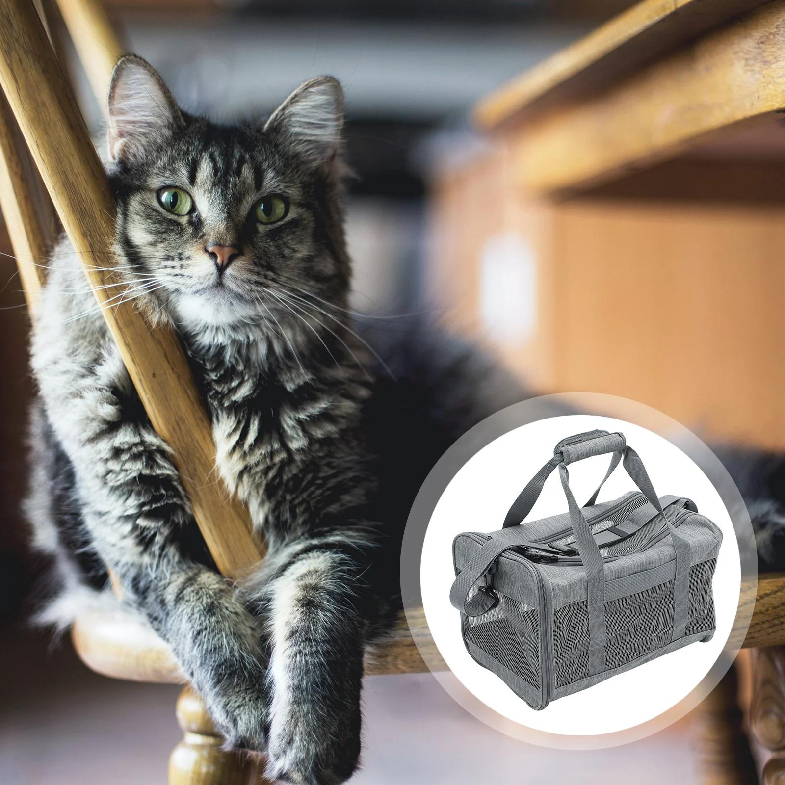 

Cat Carrier Portable Foldable Handheld Pet Bag Breathable Spacious Cat Carrying Bag Travel Pet Carrier Pouch Kitten Carrier,