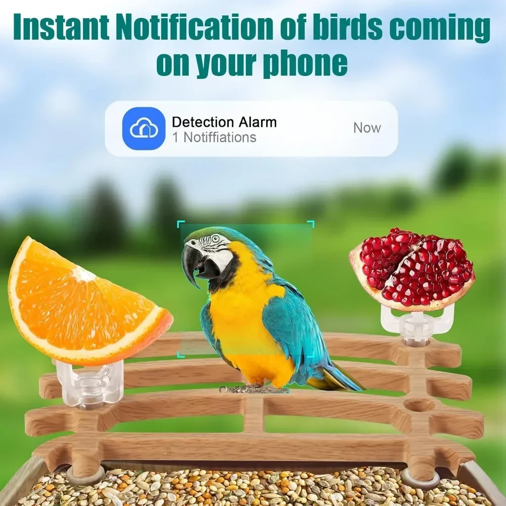 Smart Bird Feeder with Camera,Solar Camera Birds Feeder House,BirdWatching Camera & AI Identify Birds Species, Bird Feeder