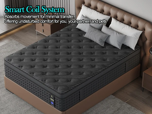 LayRoad 12/14-Inch Memory Foam Spring Mattress Single/Double/Queen/King Sizes Boxed Mattress Medium Firmness Pressure Relief