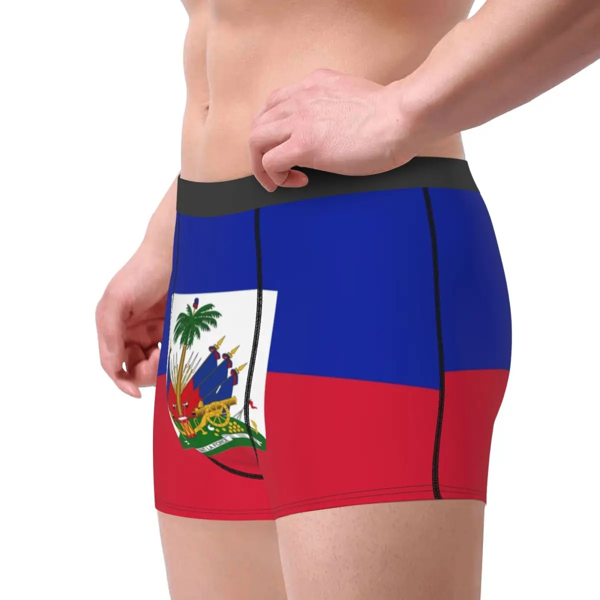 Flag Of Haiti Underwear Men Sexy Printed Customized Boxer Shorts Panties view 3