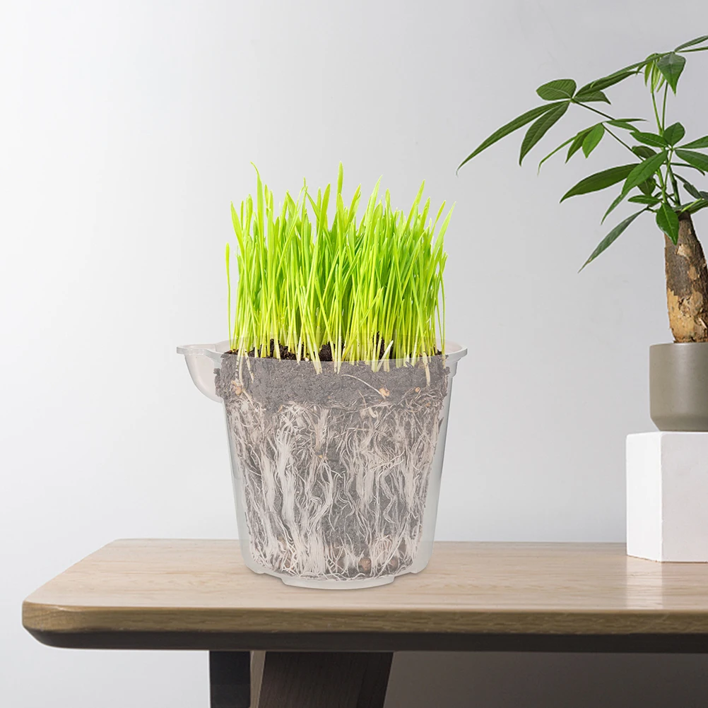 

4pcs Automatic Water Absorbent Flower Pot Self Watering Clear Transparent Nursery Pots Plastic Planter Supplies
