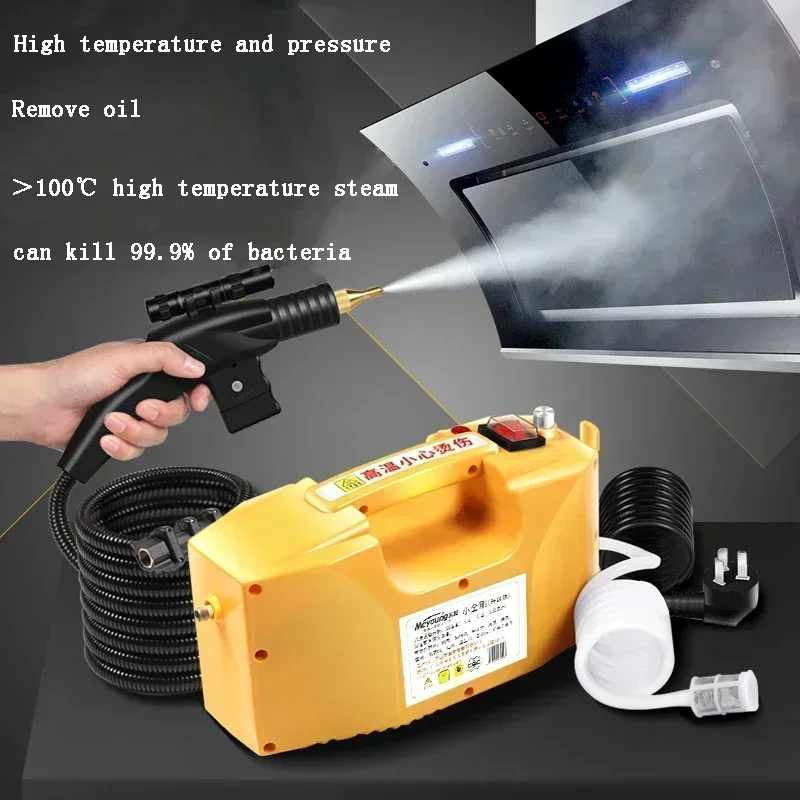 

Handheld Electric Steaming Cleaner 2600W/3000W Available Steam Cleaning Machine