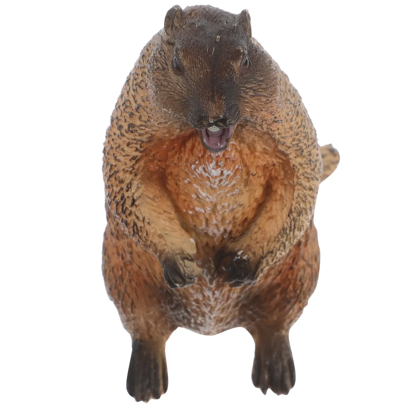

Realistic Standing Groundhog Animal Sculpture Kids Education Tool Lifelike PVC Wildlife Figure Home Office Desk Decor Simulation