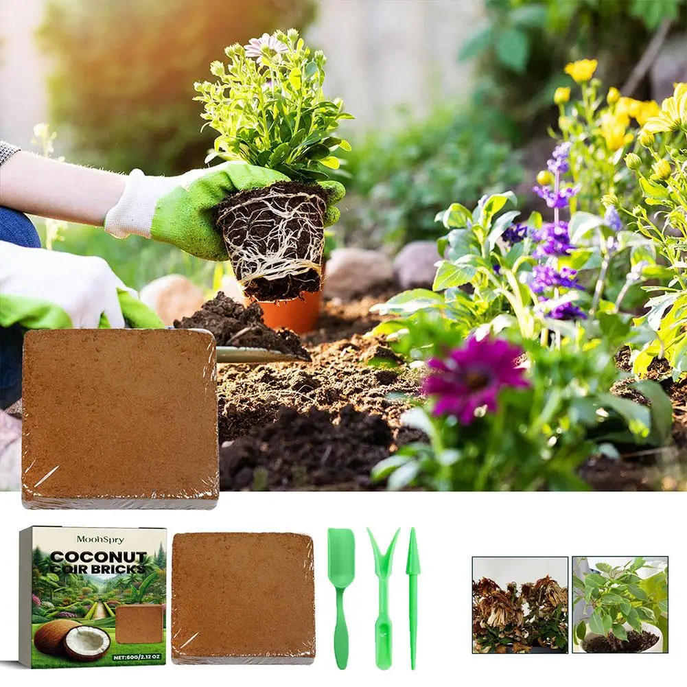 

Coir Fiber Brick Natural Compressed Bricks Improve Supplies Promote Home Garden Healthy Soil Texture Planting Palnt Growth V4W2