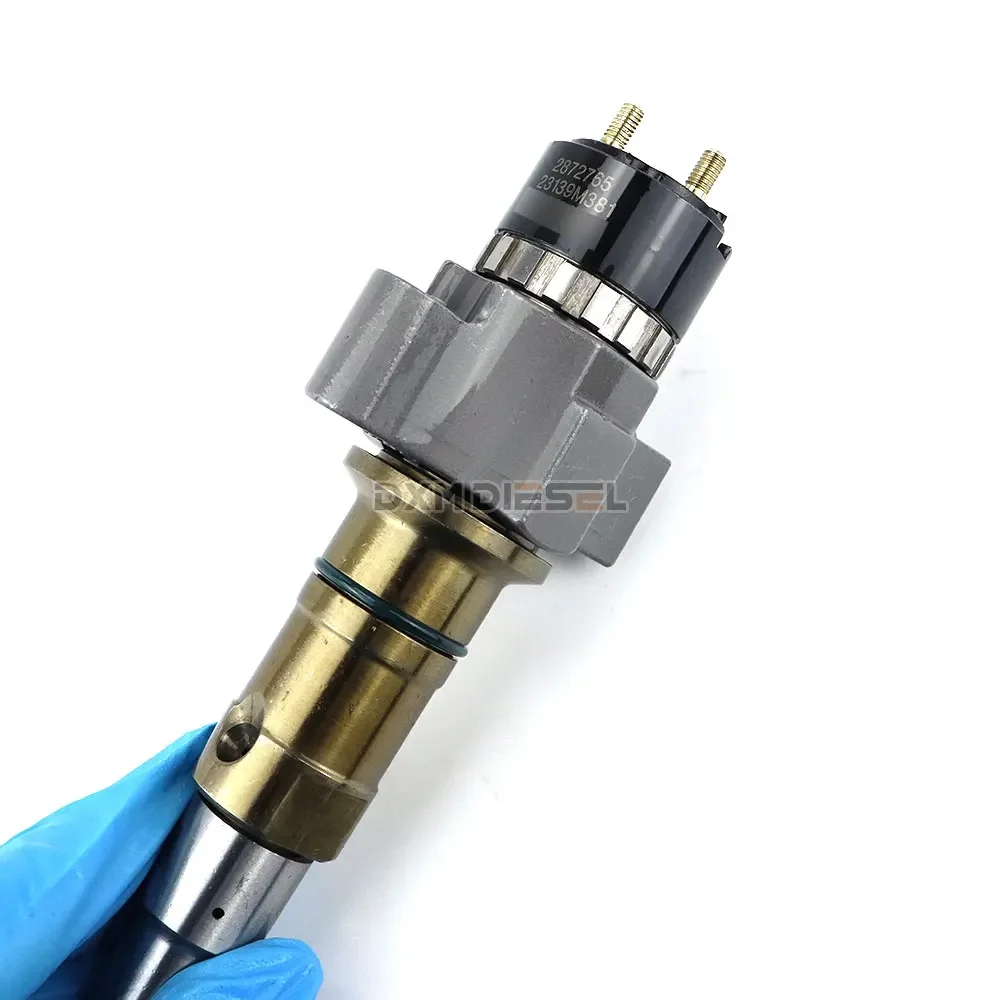 Dxm 2872765 5579405… - image