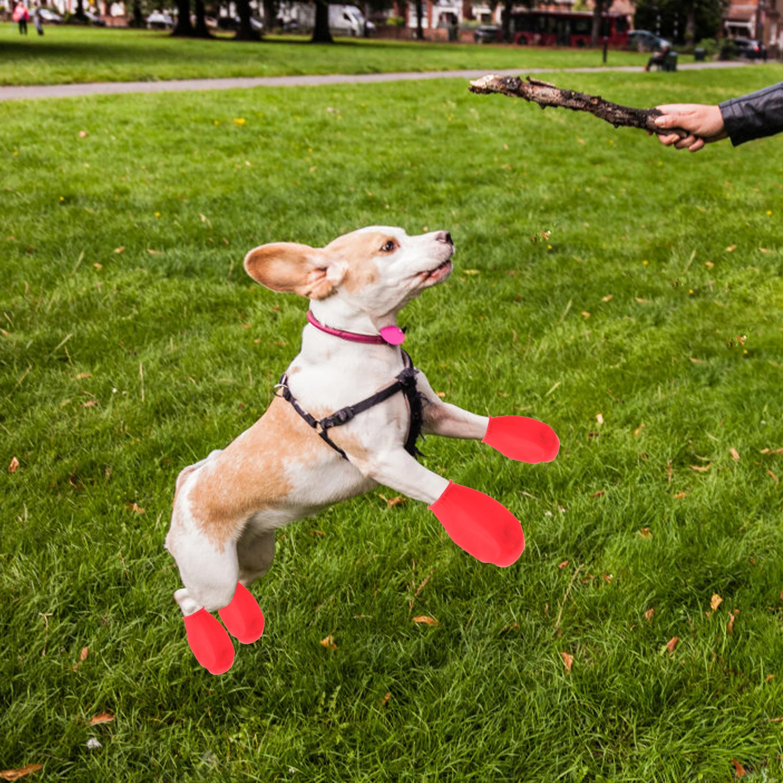 

4 Pcs Weatherproof Cover Dog Boot Paw Socks Waterproof Outdoor Rain Boots for Small Dogs Cat Shoes