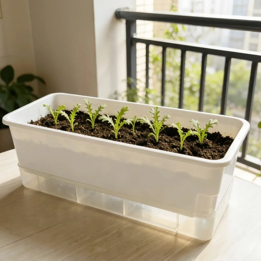 Thickened Plastic Hydroponic Plant Pot, Cultivation Box, Seedling Tray, Self-watering Planting Container, Balcony Vegetable Pot