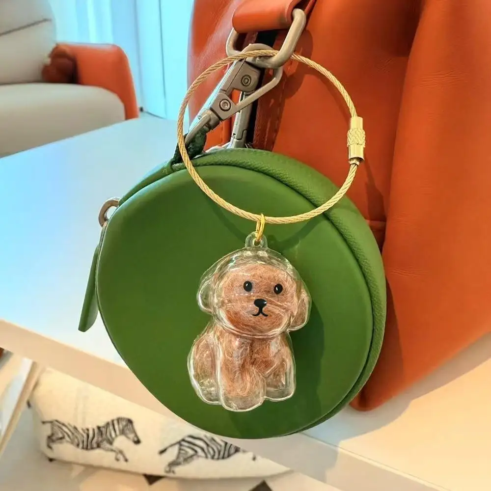 جرو الشعر التذكاري تذكار كبسولة الحيوانات الأليفة الكلب/القط الفراء الحاويات الحيوانات الأليفة الشعر تخزين المفاتيح ديكور عشاق الحيوانات الأليفة الحيوانات الأليفة الهدايا التذكارية