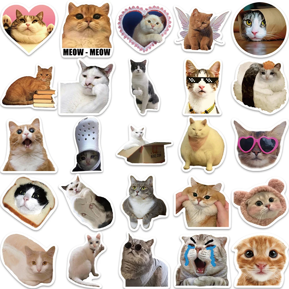 10/30/50PCS Mix Cat Meme Animal Graffiti Stickers Cute Travel Skateboard Suitcase Guitar Luggage Laptop Funny Sticker Decals