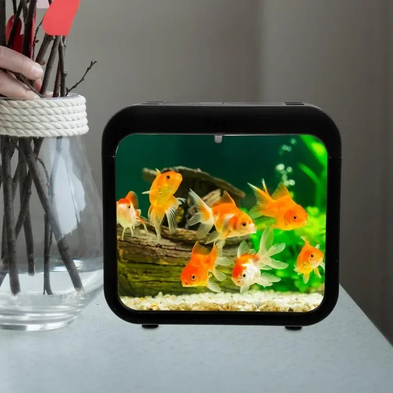 Tanque de peces Betta transparente con hierba de agua, caja de aislamiento Betta de doble rejilla de plástico, pecera de acuario de rejilla simple y doble