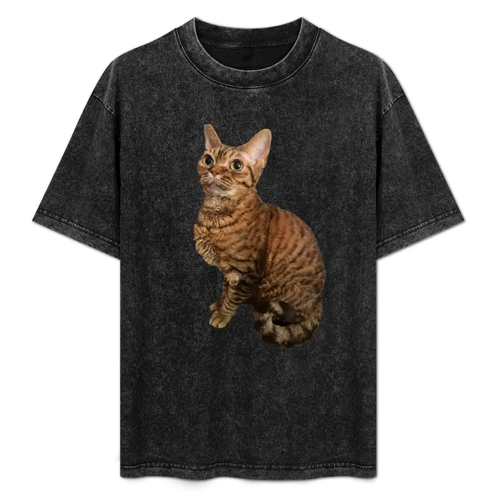 

Bernie T-Shirt graphic t shirts rapper graphic tees mens tall t shirts