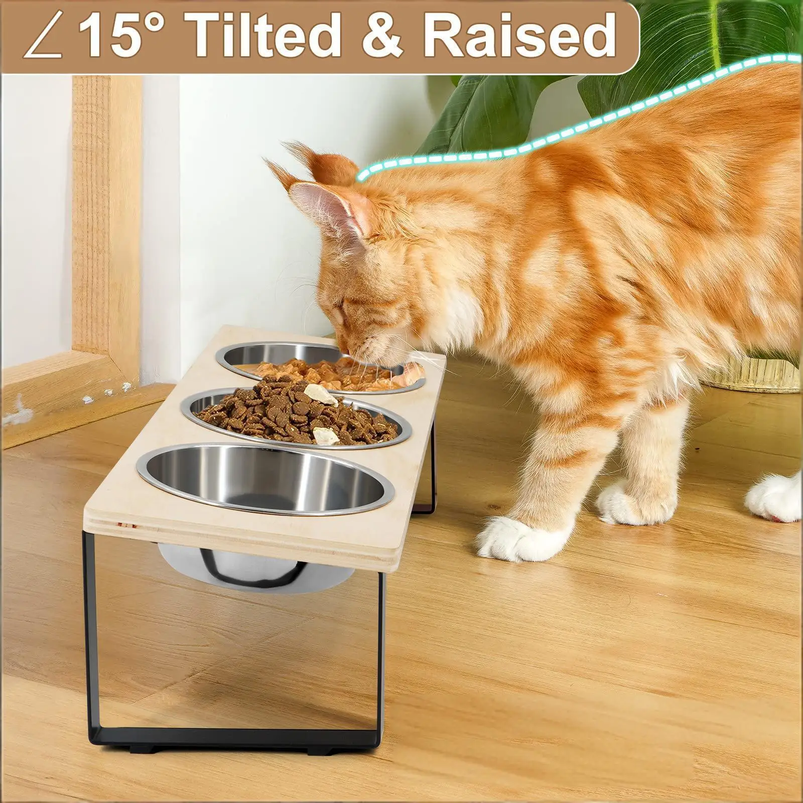 #33 Cheapest Elevated Cat Feeding Bowls Deals You Can Get
