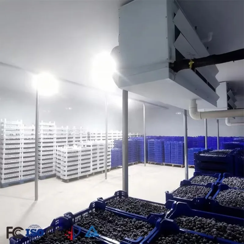2025 Hot Sale Restaurant Refrigeration Equipment Walk in Freezer Commercial Cold Room Storage Cooling Room