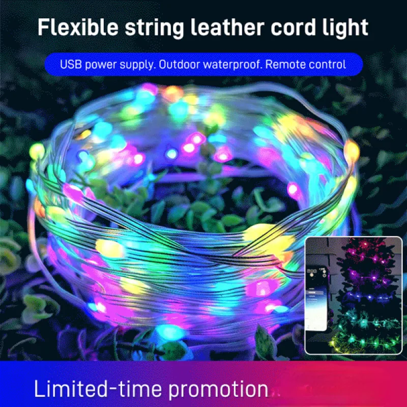 LED full copper wire leather wire string lights sound control bluetooth APP mobile phone control with remote control function