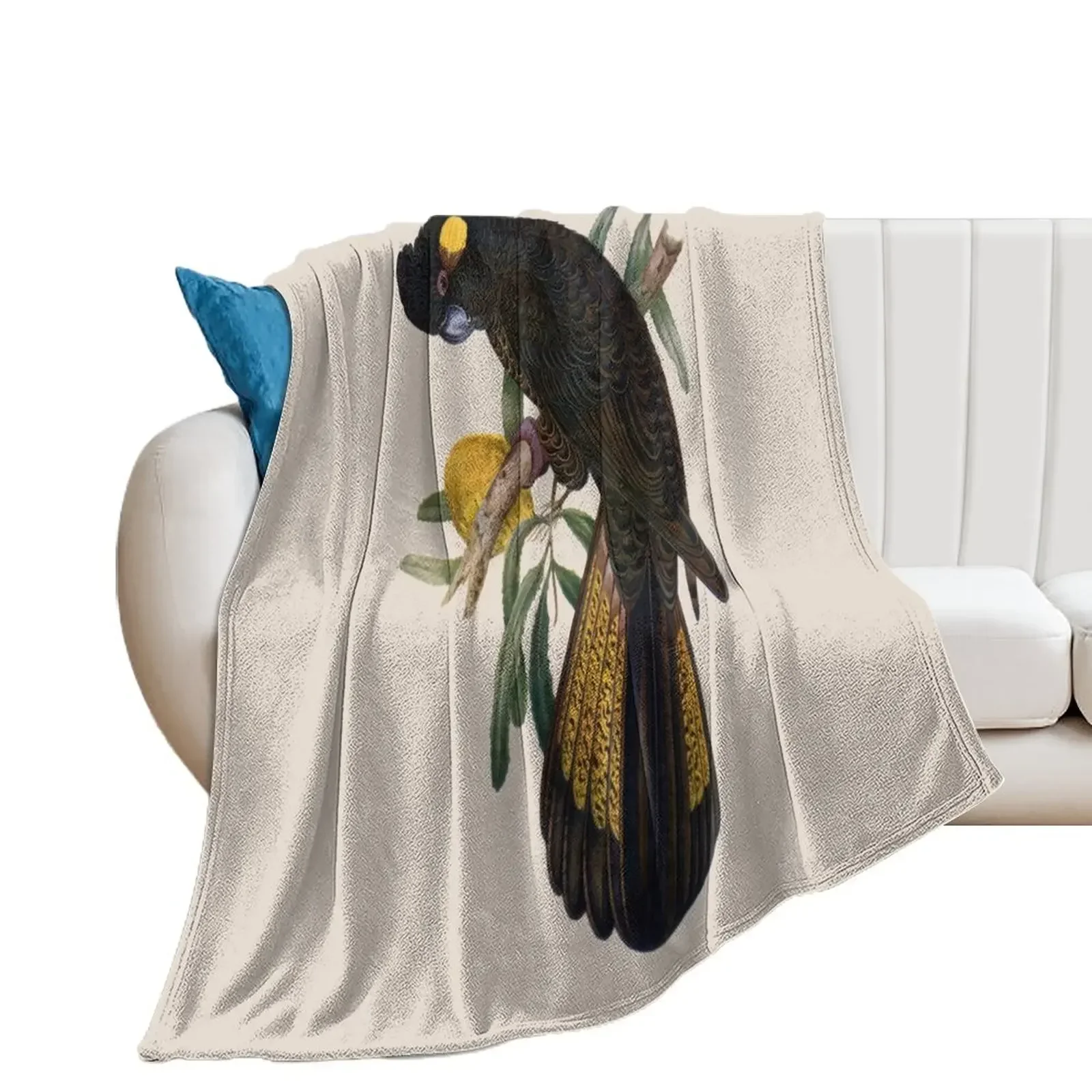 Yellow Tailed Black Cockatoo (Zanda funerea) Throw Blanket Hairys Thin Plaid on the sofa Blankets