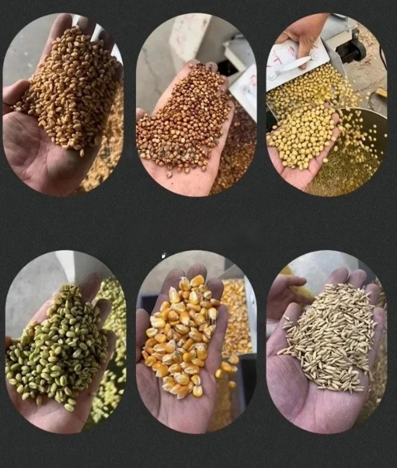 밀 보리 귀리 호밀 비중 분리기 곡물 씨앗 대두 분리기 참깨 옥수수 쌀 세척기